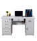 Health Powder Spray Steel Office Furniture Multifunctional With 5 Drawers 1 Cabinet