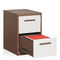 Office Furniture H731mm 2 Drawer Lateral File Cabinet Metal Modern Design