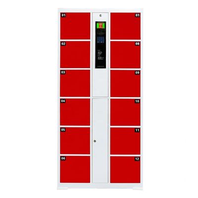 Gym Anytime Fitness Lockers , Security Password Locker OEM Powder Coating